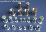 rivet nut