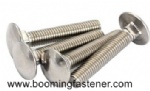 carriage bolt